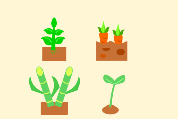 Farm Plant Illustration: A Fresh Approach to Visual Storytelling